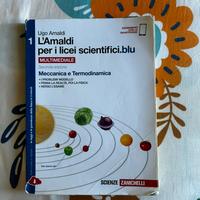L'amaldi per i licei scientifici blu