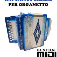 IMPIANTO MIDI PER ORGANETTO 