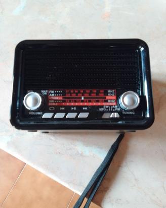 Radio portatile