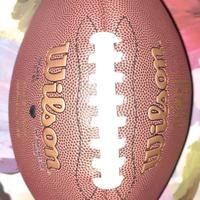 Wilson pallone rugby