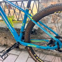 Torpado Ribot Z Impudent taglia S