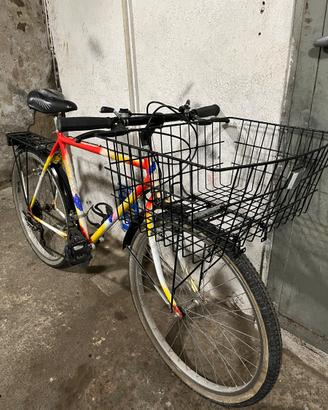 Bici uomo donna 