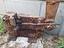Immagine 3