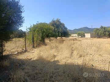 Terreno agricolo