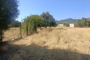 Terreno agricolo