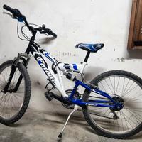 BICI MTB usata
