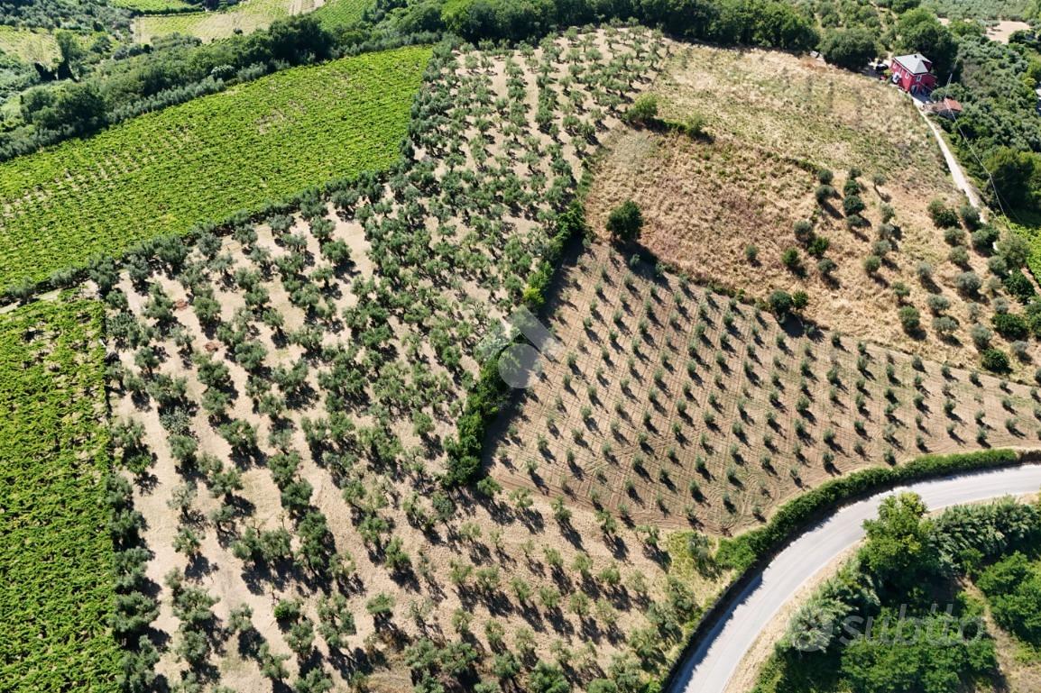 TER. AGRICOLO A FRANCAVILLA AL MARE - Vista 3