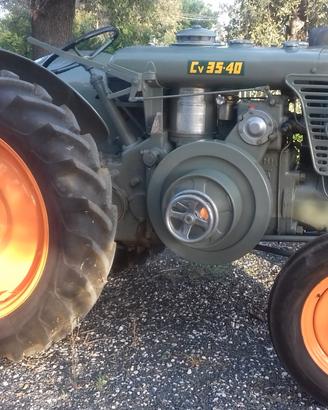 Landini testa calda perfettil LEGGERE