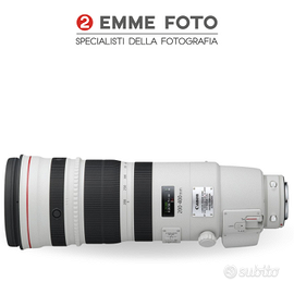 Canon Zoom 200-400 F4 L IS USM extender 1.4xCanon