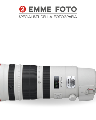 Canon Zoom 200-400 F4 L IS USM extender 1.4xCanon