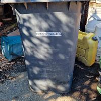 bidone spazzatura carellato