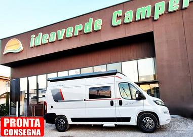 Roller Team LIVINGSTONE 2 SPORT LIMITED