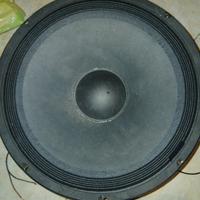 woofer da palco 38cm (15 pollici)
