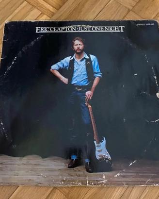 Disco vinile 