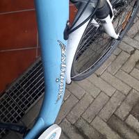bici  ebike