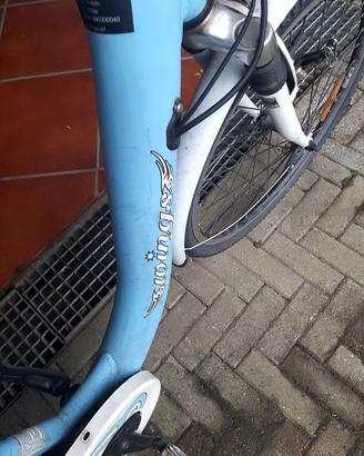bici  ebike