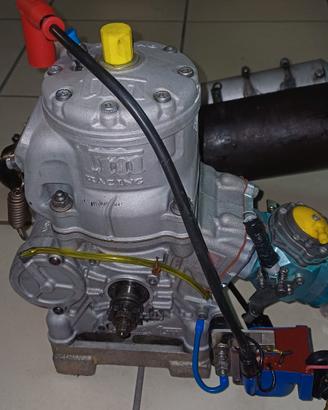 Motore Kart 125 TM OKJ completo