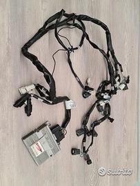 Centralina DIMSPORT RAPIDBIKE EVO SUZUKI GSXR