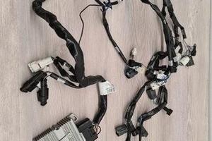 Centralina DIMSPORT RAPIDBIKE EVO SUZUKI GSXR