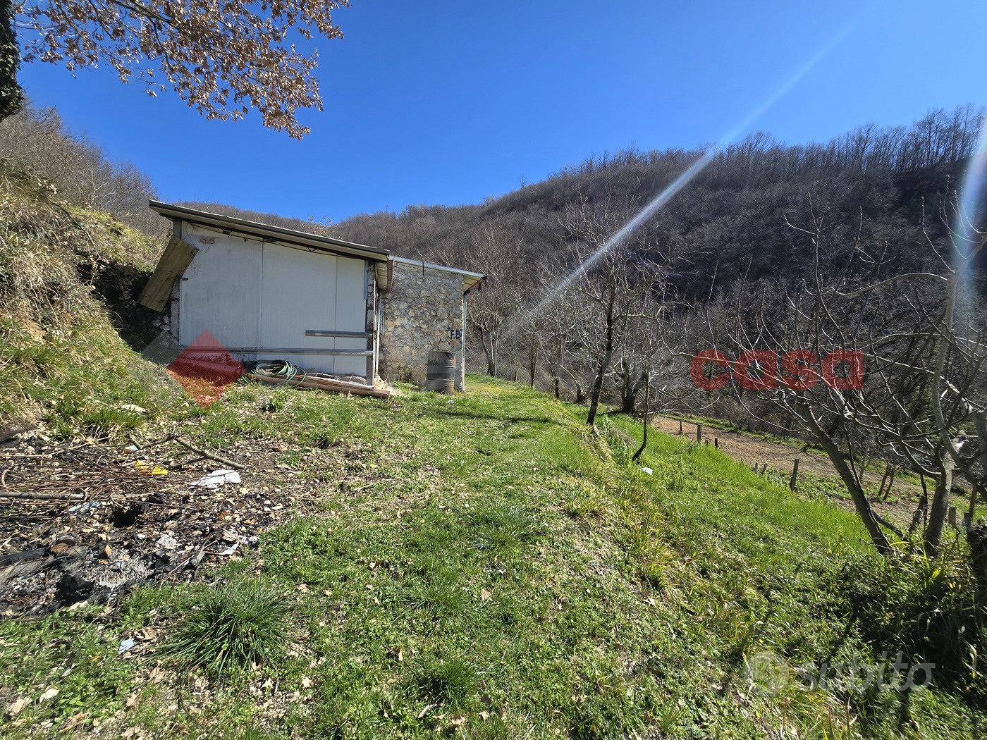 Terreno Agricolo Rieti [Cod. rif 3218243VRG] - Vista 3