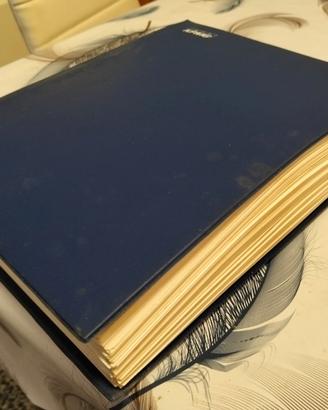 Collezione francobolli tematica: GATTI