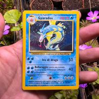 Gyarados Set Base Holo Ita