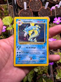 Gyarados Set Base Holo Ita