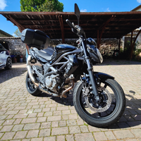 Suzuki Gladius 650