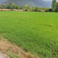 Terreno di 10700mq con porzione edificabile