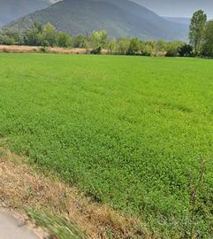 Terreno di 10700mq con porzione edificabile