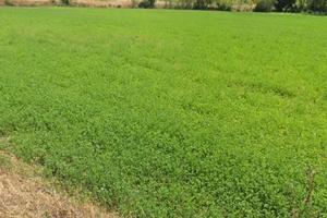 Terreno di 10700mq con porzione edificabile