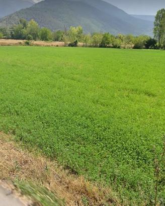 Terreno di 10700mq con porzione edificabile