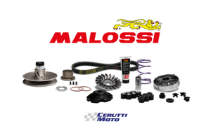 Kit trasmissione over range Malossi per Piaggio 50