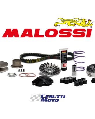 Kit trasmissione over range Malossi per Piaggio 50