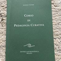 Corso di pedagogia curativi di Rudolf Steiner