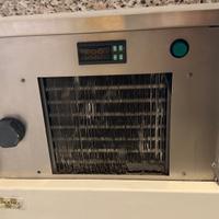 Vetrina, espositore pesce