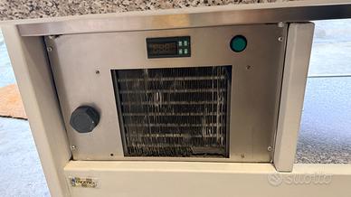 Vetrina, espositore pesce