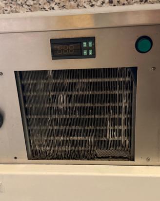 Vetrina, espositore pesce