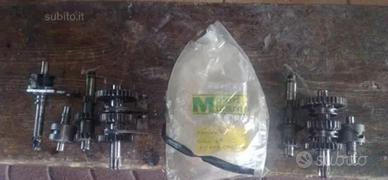 ricambi motron minarelli 