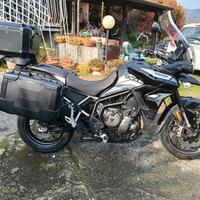 Triumph Tiger 900 GT PRO