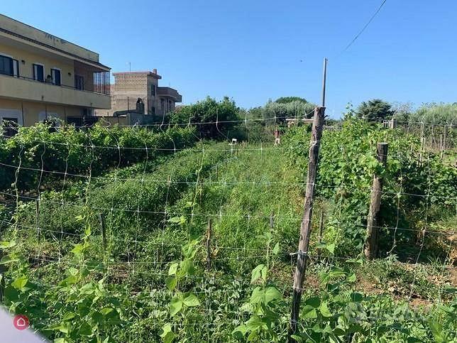 Terreno di 1000 m² a Mondragone - Vista 3