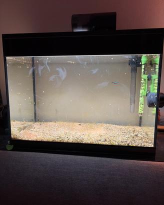 Acquario ASKOLL PURE LED
