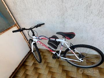 Bicicletta 24