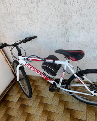 Bicicletta 24