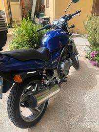 Moto Kavasaki Er 500