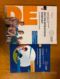 DEUTSCHTRAINING PERFEKT 2+ SOMMERLEKTÜRE 2