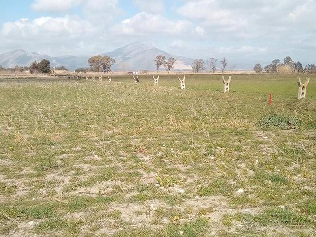 Terreno, zona Mondragone - Vista 2