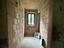 Immagine 16