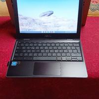 Asus Chromebook 11.6 pollici