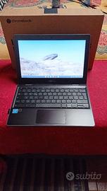 Asus Chromebook 11.6 pollici